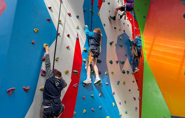 Climbing wall cover